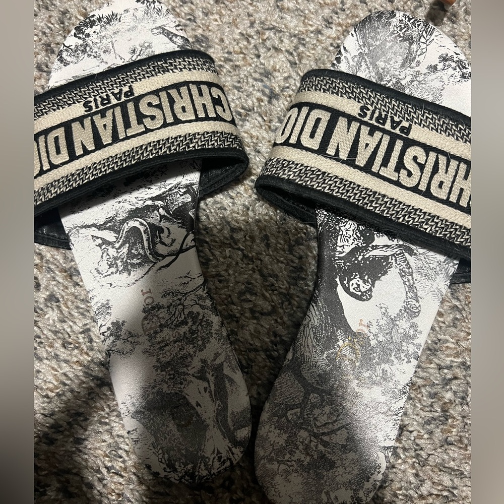 Dior slides